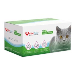 Prueba De AG Proteína Amiloide A en Suero Felino (VitalCare)