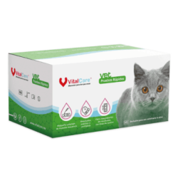 Prueba Felina de Leucemia Ag FeLV (VitalCare)