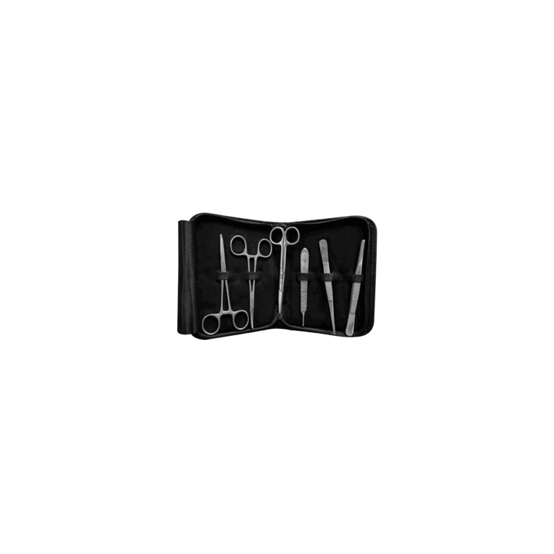 Set Instrumental para Asepsia, H16-580B (Hergom)