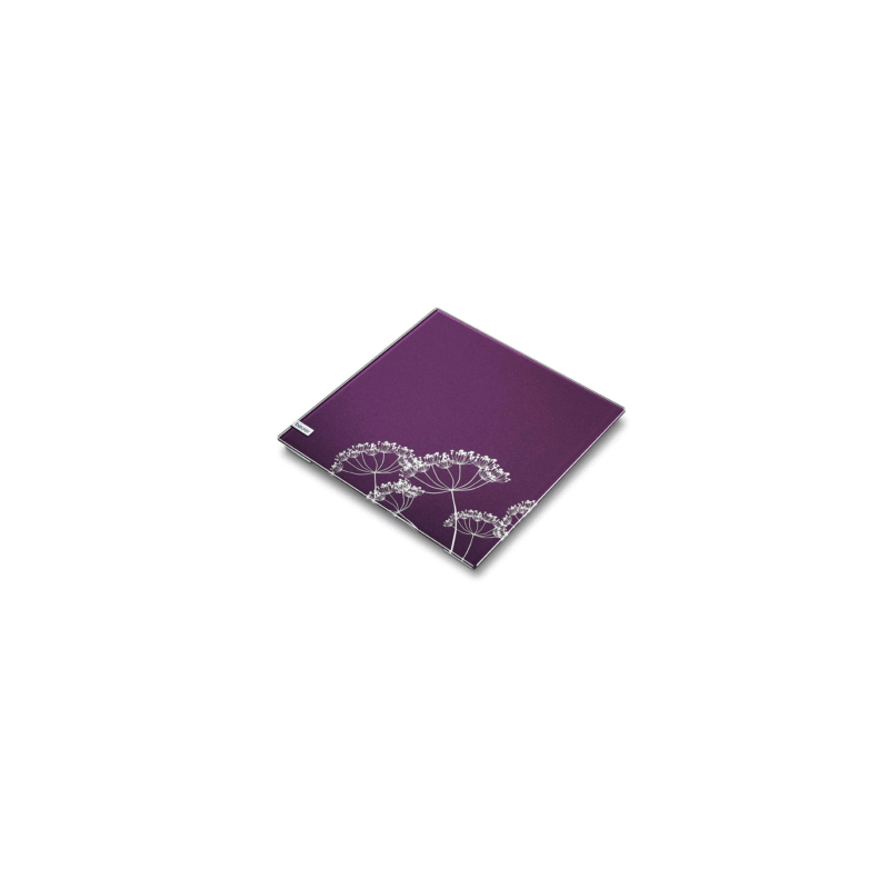 Báscula de Diagnóstico GS40 Pantalla Invisible, Desconexión Automática (Beurer)