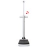 Báscula seca 703s de columna digital con estadiómetro 360 Wireless (seca)