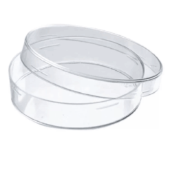 Caja Petri Estéril, Desechable, 100×15 mm (Doble bolsa) 500 pza (RUISANCHEZ)